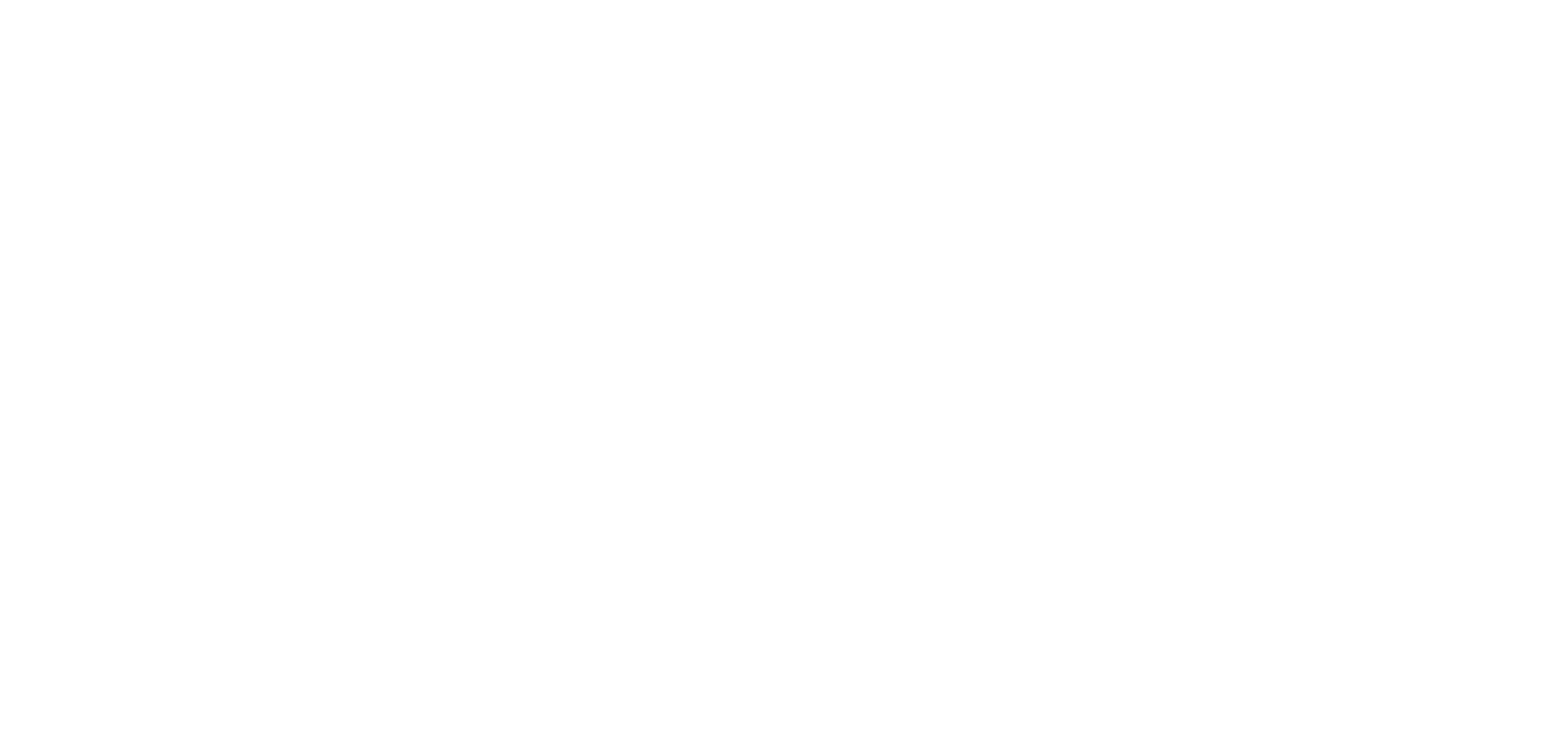 BWI_GmbH_logo.svg copy